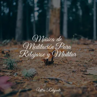 Música de Meditación Para Relajarse y Meditar by Musica Para Relajarse