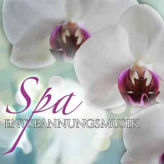 Spa Entspannungsmusik Piano Musik selection: Tiefenentspannung Hintergrundmusik, Beste Klaviermusik für Wellness, Entspannungsmassage, Sauna & Yoga by Klaviermusik Solist