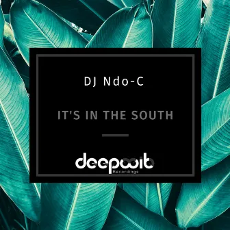 It's in the South by DJ Ndo-C