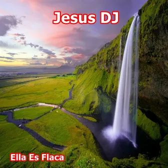 Ella Es Flaca by Jesus DJ