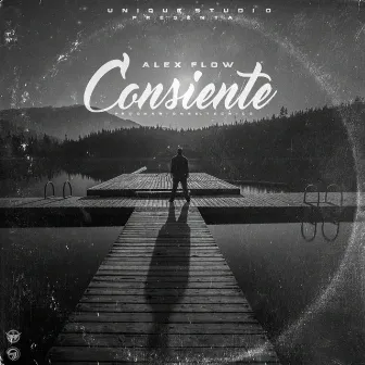 Consiente by Alex Flow