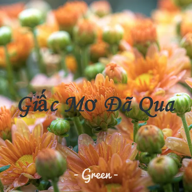 Giấc Mơ Đã Qua - Beat