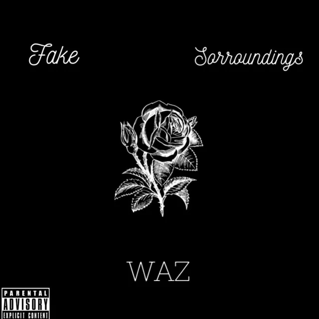 Fake Sorroundings