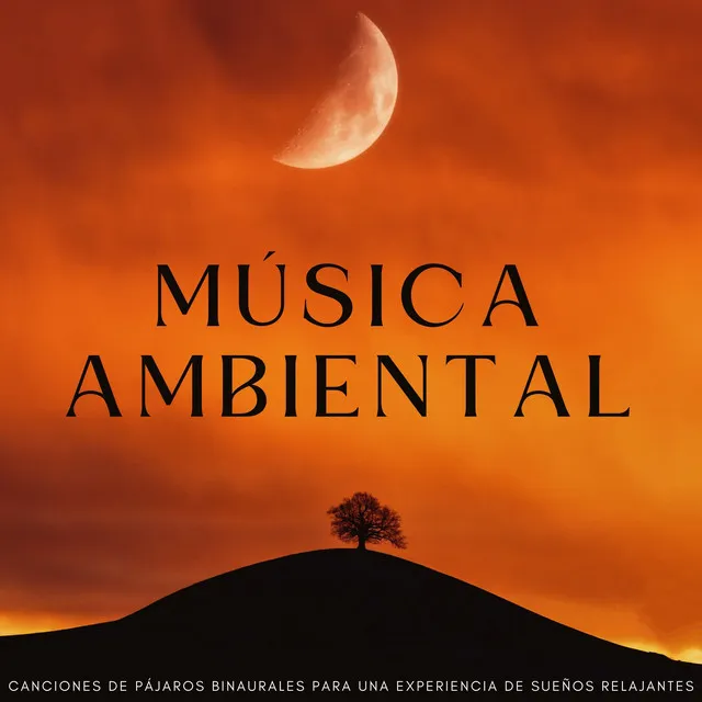 Música Ambiental: Canciones De Pájaros Binaurales Para Una Experiencia De Sueños Relajantes