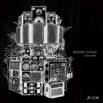 Code Name in Dub by Brother Culture