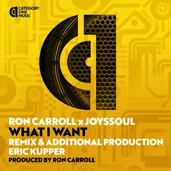 What I Want (Eric Kupper Remixes) by JoysSoul