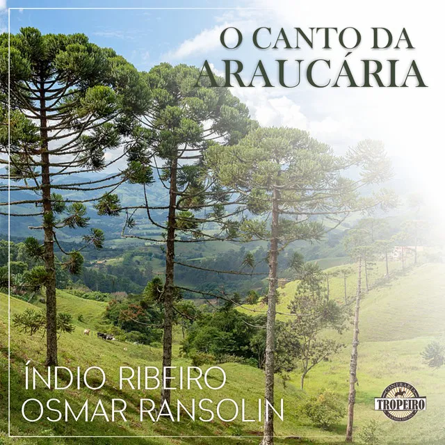 O Canto da Araucária