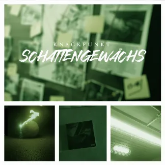 Schattengewächs by Knackpunkt