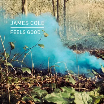 Feels Good by James Cole