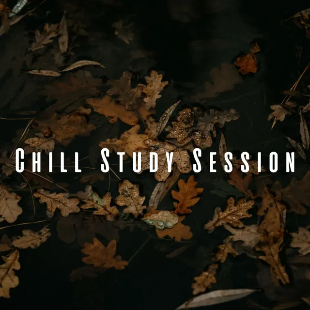 Chill Study Session: Rain Beats with Relaxing Sounds