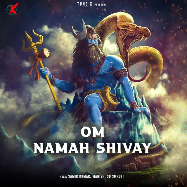 Om Namah Shivay