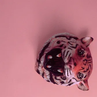 Pink Tiger by Big Wave