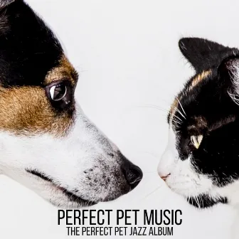 The Perfect Pet Jazz Album by Perfect Pet Music