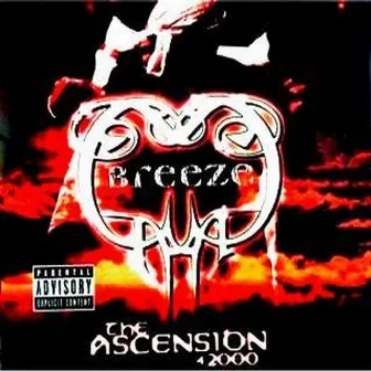 The Ascension 4-2000 by Breeze L