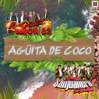 Aguita de Coco by Pepe Gomez Jr. y su Grupo Union 82