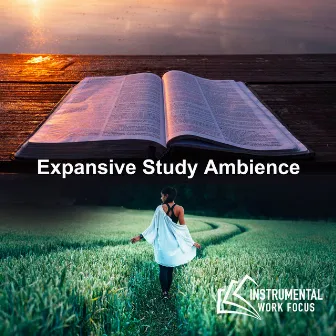 Expansive Study Ambience by 