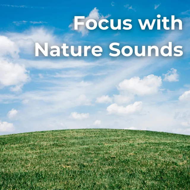 Focus with Nature Sounds