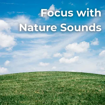 Focus with Nature Sounds by Chill Relaxers