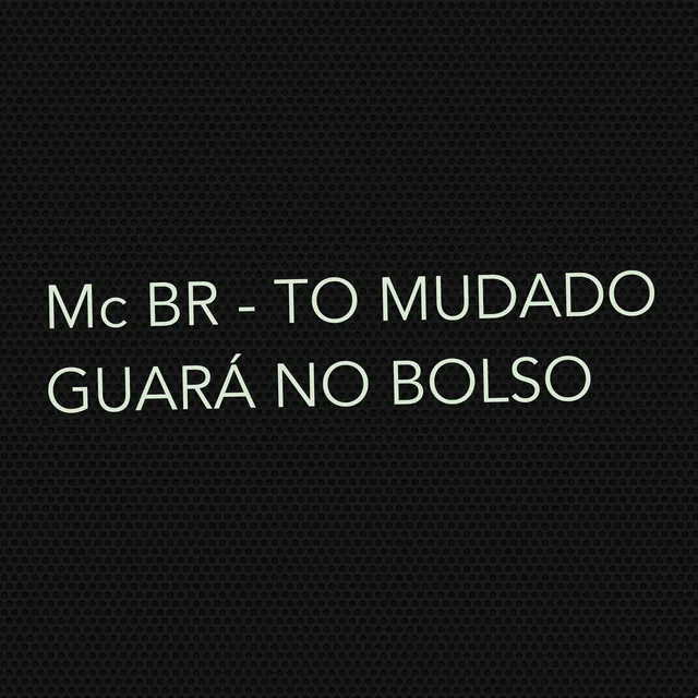 To Mudado - Guará no Bolso