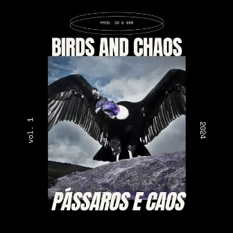 Pássaros e Caos (Bird and Chaos) by San