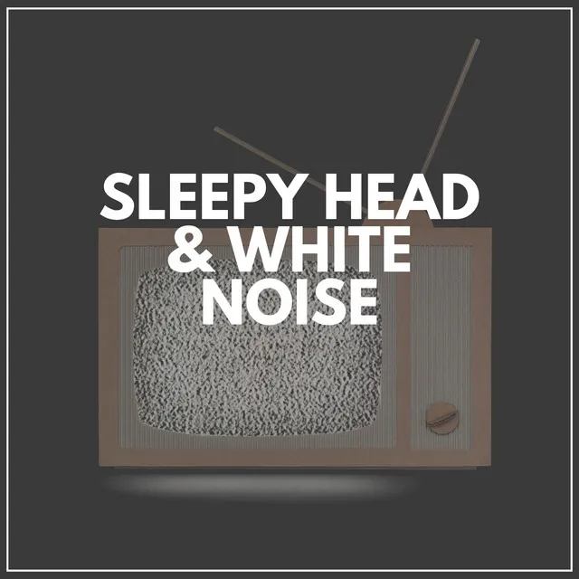 Sleepy Head & White Noise