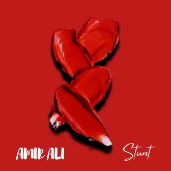 Stunt by Amir Ali