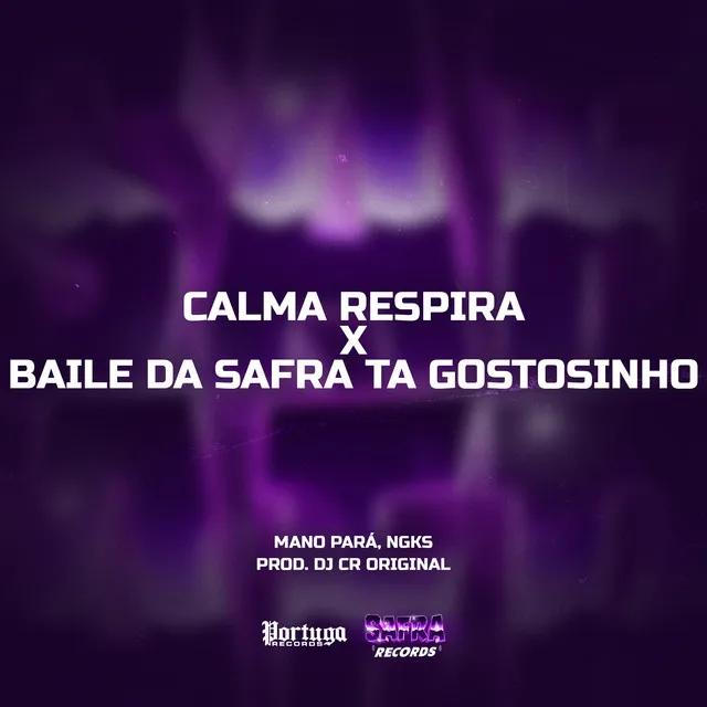 Calma Respira x Baile Da Safra Ta Gostozinho