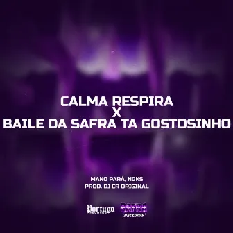 Calma Respira x Baile Da Safra Ta Gostozinho by DJ CR Original