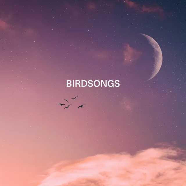 Birdsongs