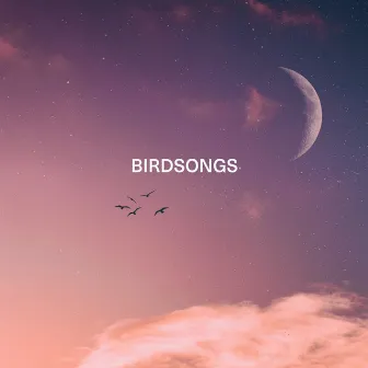 Birdsongs by Waywell