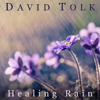 Healing Rain by David Tolk