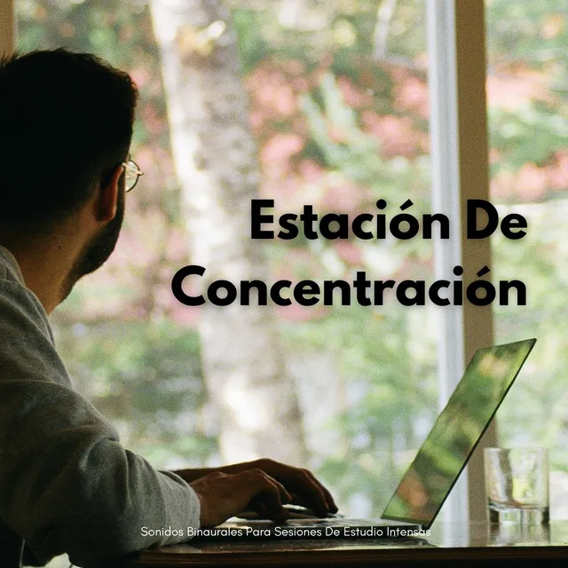 Concentración de Enfoque