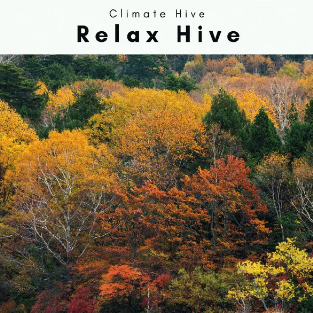 1 Relax Hive