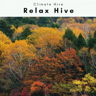 1 Relax Hive by Climate Hive