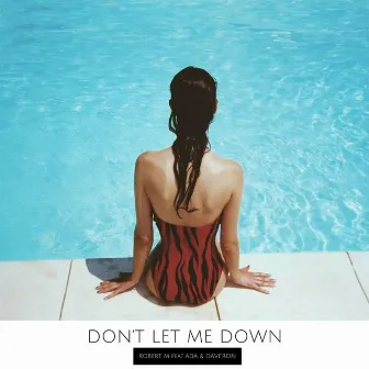 Don't Let Me Down by Robert M