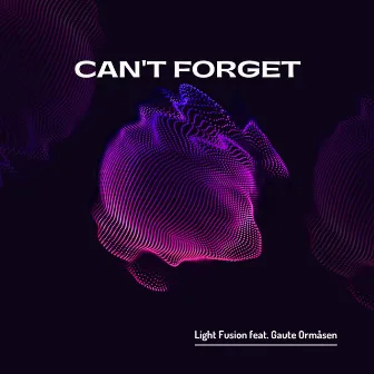 Can't Forget by Light Fusion