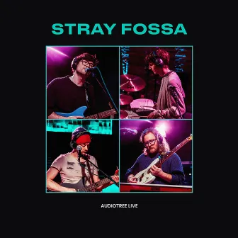 Stray Fossa On Audiotree Live by Stray Fossa