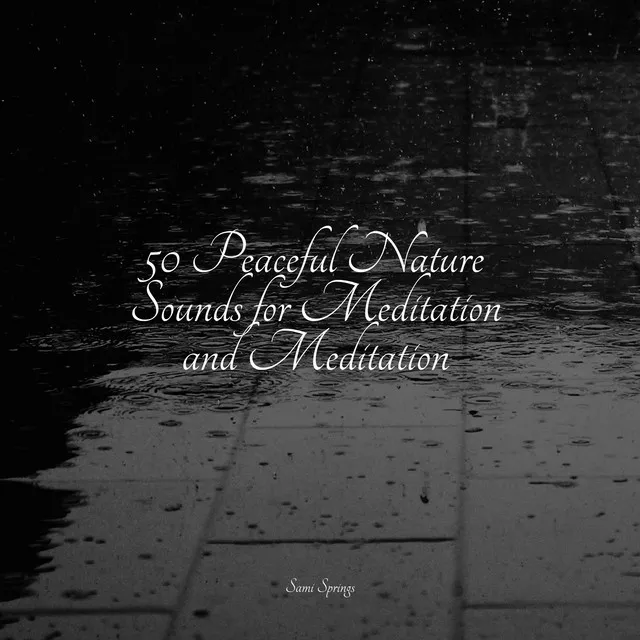 50 Peaceful Nature Sounds for Meditation and Meditation