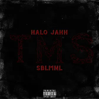 T. M. S. (Talk My Shit) by Halo Jahh