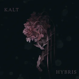 Hybris by Kalt