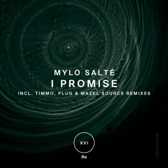 I Promise by Mylo Salte