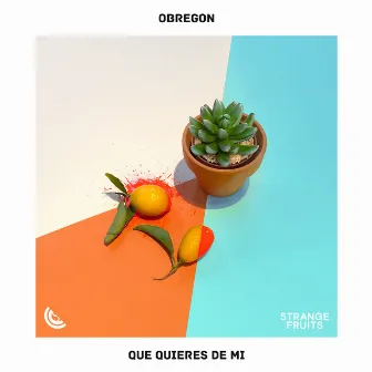 Que Quieres De Mi by Obregon