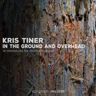 In the Ground and Overhead by Kris Tiner