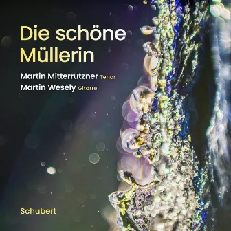 Franz Schubert: Die schöne Müllerin, Op. 25, D.795 by Martin Mitterrutzner