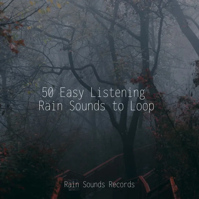 50 Easy Listening Rain Sounds to Loop