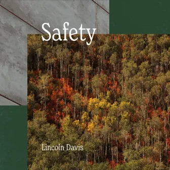 Safety by Lincoln Davis