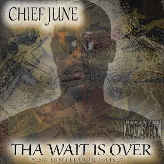 The Wait Is Over by Chief June