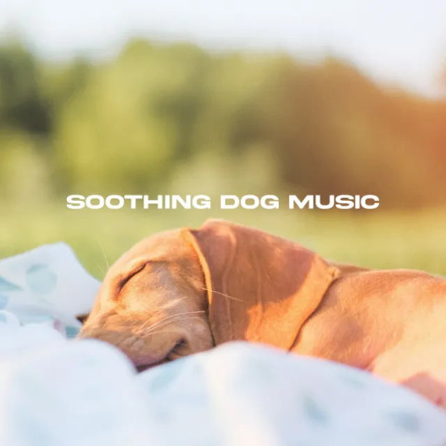 Soothing Dog Music