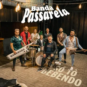 Só Tô Bebendo by Banda Passarela