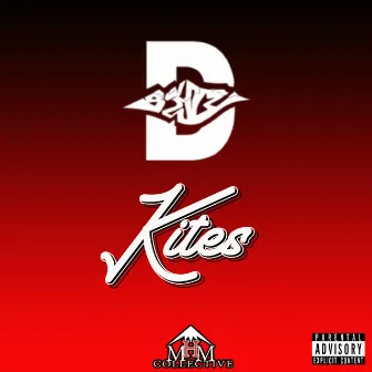 Kites by D-Stylz